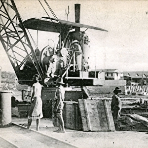 Steam Crane, Biera