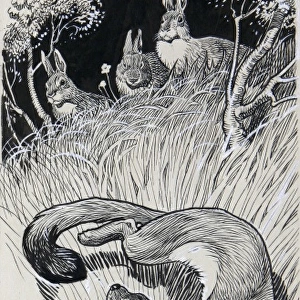 Stoat and Rabbits