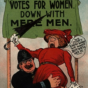 Suffragette In the Arms of the Law
