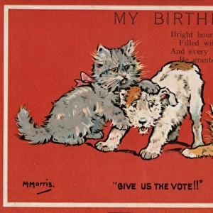 Suffragette Cats and Dog Fight Birthday Wish