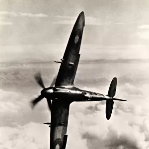 Battle of Britain Collection: Spitfire aircrafts