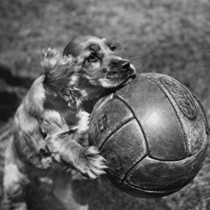Susi - posing with a football