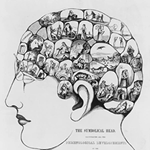 The Symbolical head, illustrating all the phrenological deve