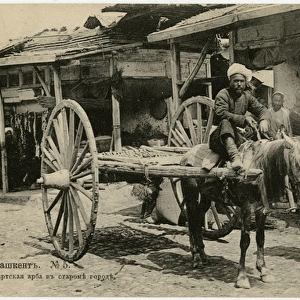 Tashkent, Uzbekistan - Local Man with Traditional Arba Cart