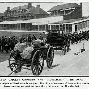 Territorial Army camping at Oval cricket ground, WW1