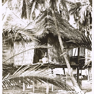 Traditional stilt house of Papua New Guinea