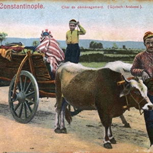 Turkey - Ox Cart and Passengers
