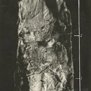Undated photograph of enlarged piece of teleplasm