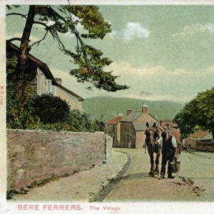 The Village, Bere Ferrers, Devon