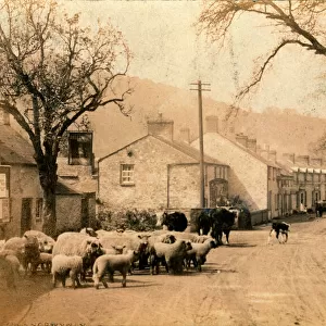 Powys Collection: Crickhowell