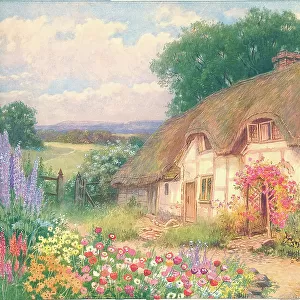 A Warwickshire cottage