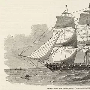 Whaling Ship / 1849
