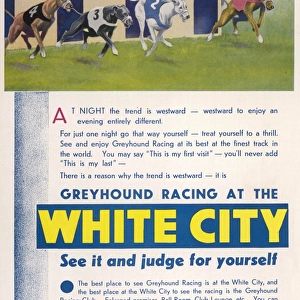 White City Greyhound Racing Advertisement