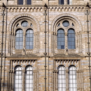 Window detail, the Natural History Museum, London