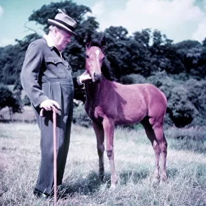 Winston Churchill pictured with a young foal