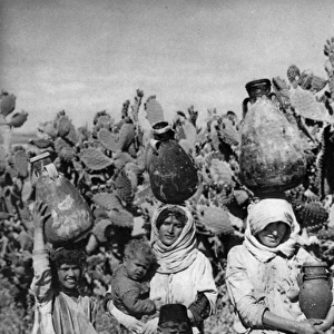 Women carrying water, Holy Land