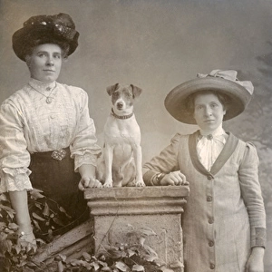 Women with a Jack Russell