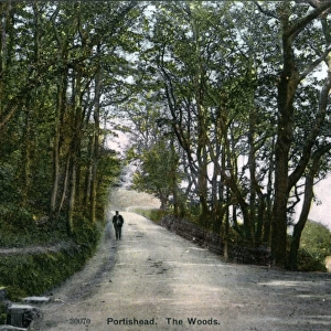 The Woods, Portishead, Somerset