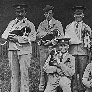 Wounded soldiers at Cheshire Hunt puppy show, WW1