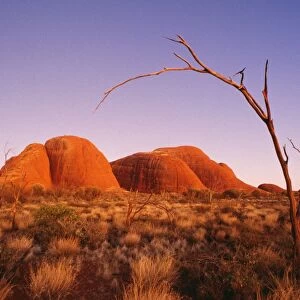 Australia The Olgas after sunset, Uluru National Park, Northern Territory