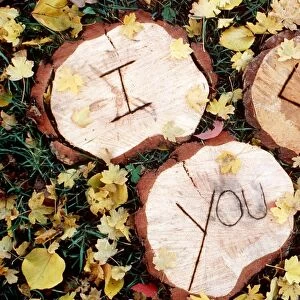Cute - "I Love You" carved in wood