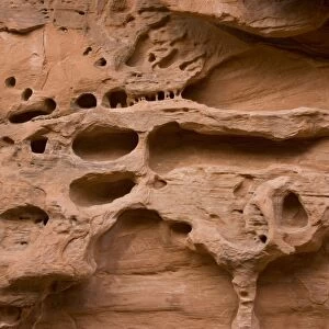 Distinctive erosion patterns in sandstone cliff. Arches National Park, Utah