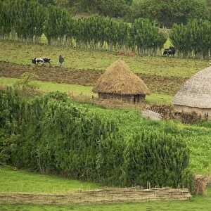 Farmland - Eastern Highlands of Ethiopia - Africa