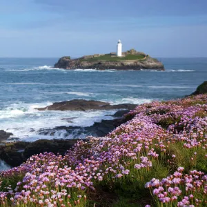 Godrevy Island and Lighthouse - from Gwithian - thrift