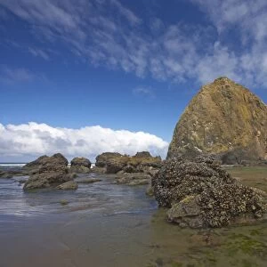 Haystack Rock at low tide Cannon Beach, Oregon, USA LA000955