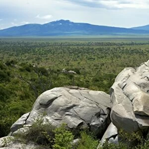Kilimatiti plains with Ngorongoro in the background - Ngorongoro Conservation area - Tanzania - Africa