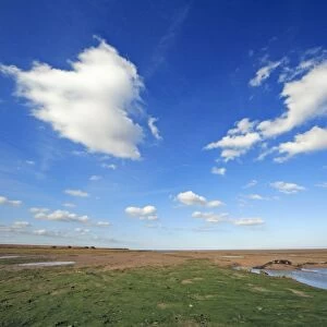 Mudflats - at low tide and good weather clouds, Lindisfarne National Nature Reserve, Northumberland, England