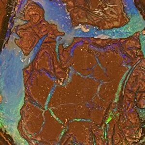 Opal - Mined in Yowah - Queensland Australia