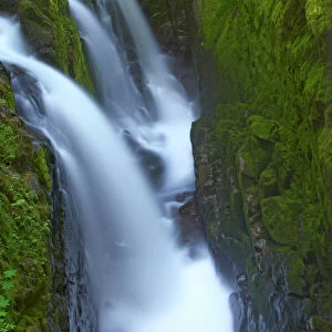 Sol Duc Falls -Olympic National Park, Washington State, USA LA001471