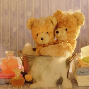 Teddy Bear - x2 teddies at bathtime