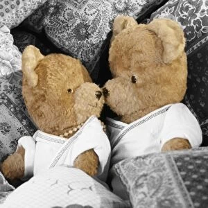 Teddy Bear - x2 teddies in bed Digital Manipulation: cropped - altered colours & removed small bow