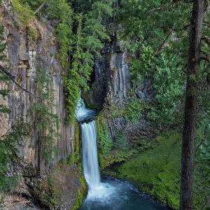 Toketee Falls runs over basalt columns in the Umpqua National Forest, Oregon, USA Date: 14-04-2021