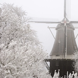 Tower mill, flourmill De Vlijt Scenery with fog and rime The Netherlands, Gelderland, Marle