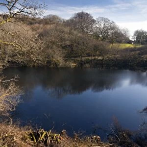 Turlough - in Carmel National Nature Reserve - in february; the only turlough in mainland Britain - Carmarthenshire - Wales