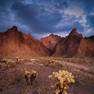 USA, Arizona, Kofa National Wildlife Area. Mountain and desert landscape. Date: 29-01-2021