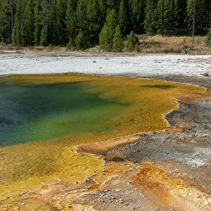 USA, Wyoming, Yellowstone National Park, Black Sand Basin, Emerald Pool. Green pool with yellow thermopile bacteria mat. Date: 08-10-2020