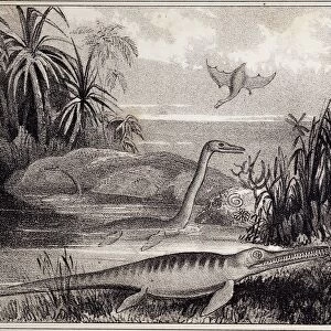 1837 Extinct prehistoric animals Dorset