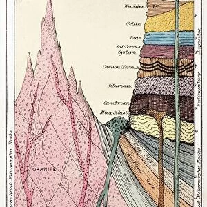 1838 Mantells Geological Strata Section