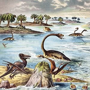 1888 color lithograph Jurassic solnhofen