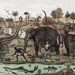 18th C. Tropical Animal Panorama