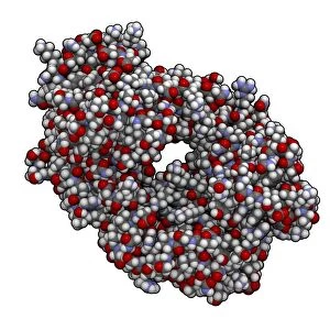 Alemtuzumab Fab fragment molecule F007 / 0100