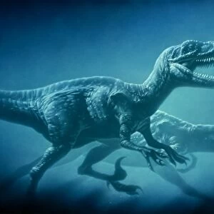 Art of two megaraptor dinosaurs