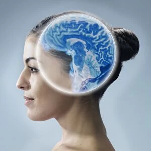 Brain scan, conceptual image C017 / 7391