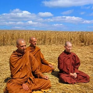 Buddhist monks meditating in a crop circle