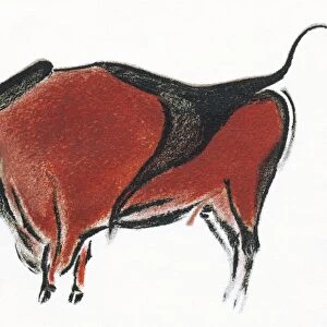Cave painting of a bison, artwork