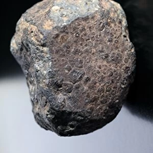 Chondrite meteorite